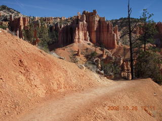 193 6ns. Bryce Canyon - Fairyland trail