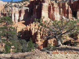 196 6ns. Bryce Canyon - Fairyland trail