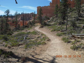 198 6ns. Bryce Canyon - Fairyland trail
