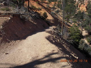 Bryce Canyon - Fairyland trail - cool speckled rock