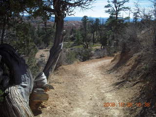 212 6ns. Bryce Canyon - Fairyland trail