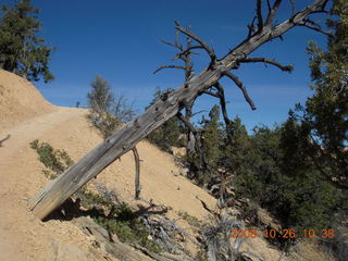 214 6ns. Bryce Canyon - Fairyland trail