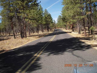 Bryce Canyon road