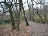 4. Pennypack Park run