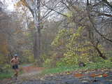 36. Pennypack Park run - Adam