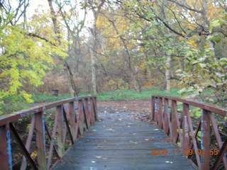 Tookany Creek Park run