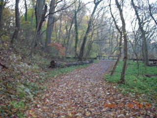 Tookany Creek Park run