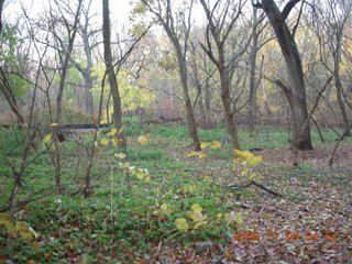 Tookany Creek Park run