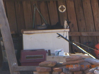 Verde Canyon Railroad - cats at Perkinsville station