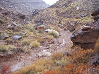 215 6pt. Canyonlands National Park - Lathrop trail hike