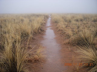 Canyonlands National Park - Lathrop trail hike - wet path through grassland