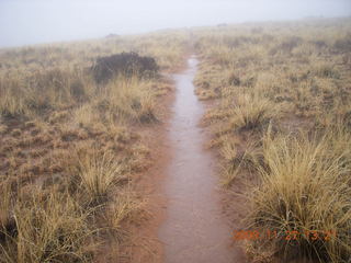 312 6pt. Canyonlands National Park - Lathrop trail hike - wet path through grassland