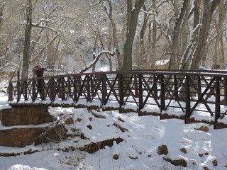 beth's Saturday zion-trip pictures - Zion National Park - Angels Landing hike - bridge