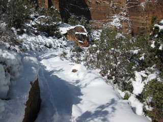 58 6qg. beth's Saturday zion-trip pictures - Zion National Park - Angels Landing hike
