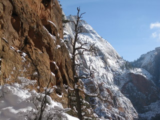 66 6qg. beth's Saturday zion-trip pictures - Zion National Park - Angels Landing hike