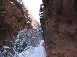 beth's Saturday zion-trip pictures - Zion National Park - Angels Landing hike