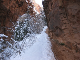 70 6qg. beth's Saturday zion-trip pictures - Zion National Park - Angels Landing hike
