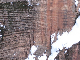 79 6qg. beth's Saturday zion-trip pictures - Zion National Park - Angels Landing hike
