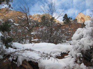 37 6qh. beth's Sunday zion-trip pictures - Zion National Park - Emerald Ponds hike
