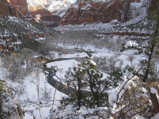 48 6qh. beth's Sunday zion-trip pictures - Zion National Park - Emerald Ponds hike