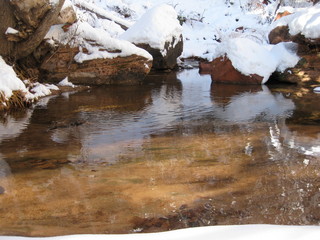 60 6qh. beth's Sunday zion-trip pictures - Zion National Park - Emerald Ponds hike