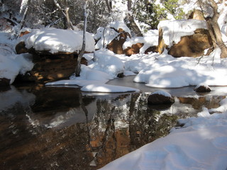 61 6qh. beth's Sunday zion-trip pictures - Zion National Park - Emerald Ponds hike