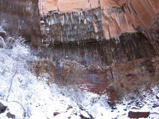 82 6qh. beth's Sunday zion-trip pictures - Zion National Park - Emerald Ponds hike