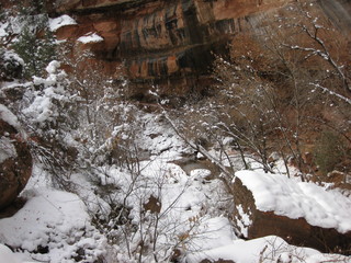 beth's Sunday zion-trip pictures - Zion National Park - Emerald Ponds hike