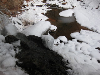 beth's Sunday zion-trip pictures - Zion National Park - Emerald Ponds hike