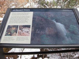 beth's Sunday zion-trip pictures - Zion National Park - Emerald Ponds hike - Adam