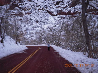 41 6qm. Zion National Park - Debbie on road taking pictures of mule-deer