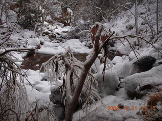 153 6qm. Zion National Park - Emerald Pools hike - icicle trees
