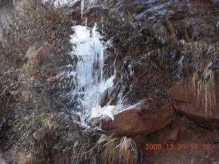 159 6qm. Zion National Park - Emerald Pools hike - icicles