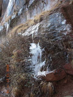 161 6qm. Zion National Park - Emerald Pools hike - icicles