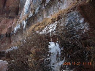 162 6qm. Zion National Park - Emerald Pools hike - icicles
