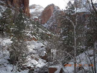 Zion National Park - Emerald Pools hike - icy trees