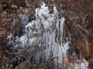 169 6qm. Zion National Park - Emerald Pools hike - icicles