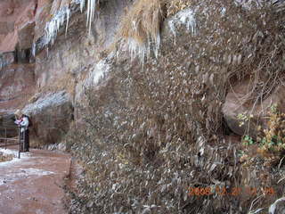 170 6qm. Zion National Park - Emerald Pools hike - icicles