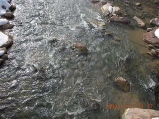 184 6qm. Zion National Park - rushing Virgin River water