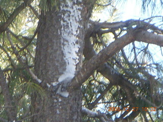 Adam after running in the cold snow at Flagstaff Airport (FLG) - ice in beard