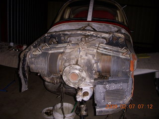 Doug's Buggs and Bunnies - right-hand-drive beetle