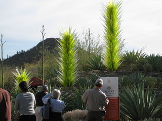 icy, snowy airplane with spiral spinner at Flagstaff Airport (FLG)
