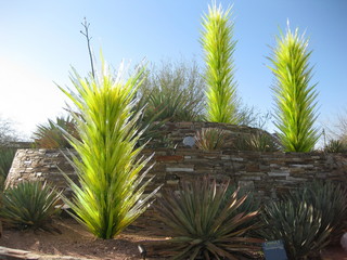 Julia and camera at Pine restaurant in Flagstaff