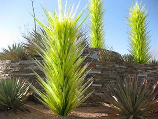 Ken Calman in Pine restaurant in Flagstaff
