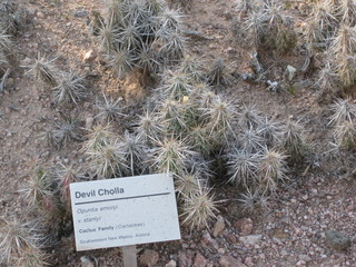 beth's Dale Chihuly pictures - Michael and Beth