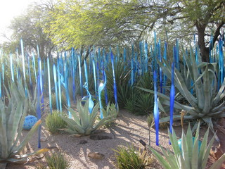 beth's Dale Chihuly pictures -