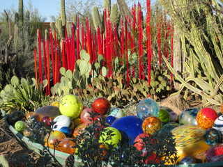 beth's Dale Chihuly pictures -