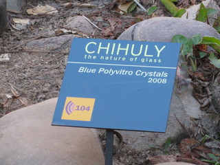 beth's Dale Chihuly pictures -