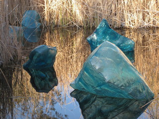 beth's Dale Chihuly pictures -