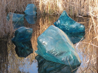 beth's Dale Chihuly pictures -